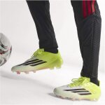 adidas F50 Elite FG - Born for Goals
