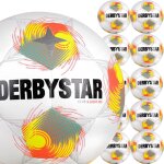 10er Derbystar Club Super Light 290 Ballpaket - E+F+G Jugend