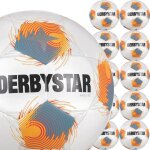 10er Derbystar Magic TT Ballpaket - Senioren+A+B+C Jugend