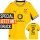 Puma BVB Trikot 2026/2027 Home mit Nummern + Namen - Erw