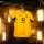 Puma BVB Trikot 2026/2027 Home mit Nummern + Namen - Erw