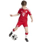 adidas FC Bayern Trikot 2026/2027 Home mit Nummern + Namen - Kinder