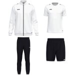 Jako One Training Set