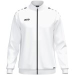 Jako One Training Set
