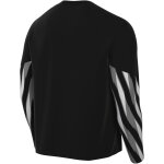 Nike Park V GK Torwarttrikot