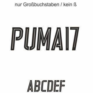 Puma17