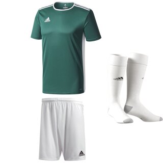 collegiate green/white - white - white