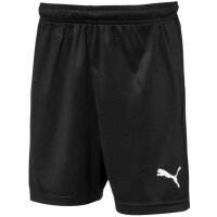 Puma Liga Short Core mit Slip