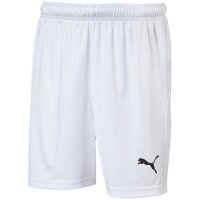 Puma Liga Short Core mit Slip