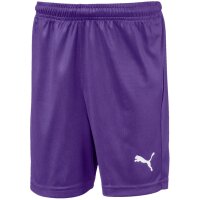 Puma Liga Short Core mit Slip