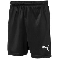 Puma Liga Short Core