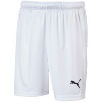 Puma Liga Short Core