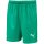 Puma Liga Short Core