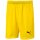 Puma Liga Short Core