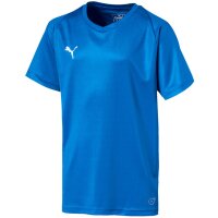 Puma Liga Trikot Core