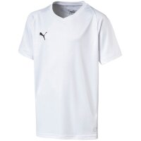 Puma Liga Trikot Core