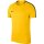 Nike Academy 18 Training Top Jersey