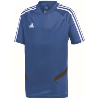 bold blue/dark blue