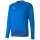 Puma teamGoal 23 Training Sweat