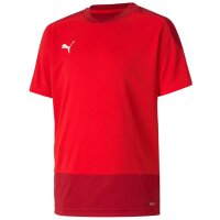 Puma teamGoal 23 Training Jersey
