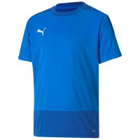 Puma teamGoal 23 Training Jersey