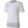 Puma teamGoal 23 Training Jersey