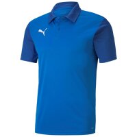 Puma teamGoal 23 Sideline Polo