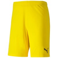 Puma teamGoal 23 Kni Short
