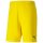 Puma teamGoal 23 Kni Short