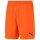 Puma teamGoal 23 Kni Short