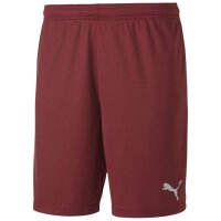 Puma teamGoal 23 Kni Short