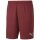 Puma teamGoal 23 Kni Short