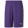 Puma teamGoal 23 Kni Short