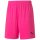 Puma teamGoal 23 Kni Short