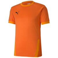 Puma teamGoal 23 Trikot