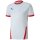 Puma teamGoal 23 Trikot