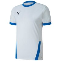 Puma teamGoal 23 Trikot