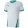 Puma teamGoal 23 Trikot