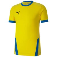 Puma teamGoal 23 Trikot