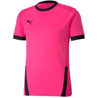 Puma teamGoal 23 Trikot