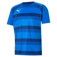 Puma teamVision Trikot Jersey