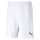 Puma teamRise Short