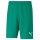 Puma teamRise Short