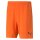 Puma teamRise Short