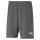 Puma teamRise Short