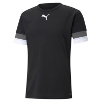 Puma teamRise Trikot Jersey
