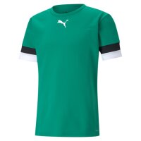 Puma teamRise Trikot Jersey