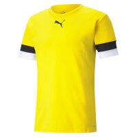Puma teamRise Trikot Jersey