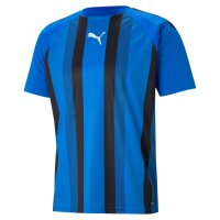 Puma teamLiga Striped Trikot Jersey