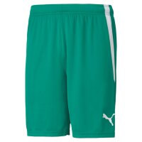 Puma teamLiga Short